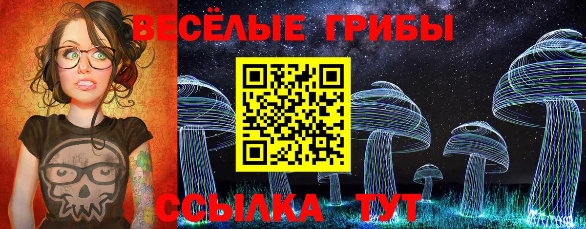 Галлюциногенные грибы Psilocybe Озёры