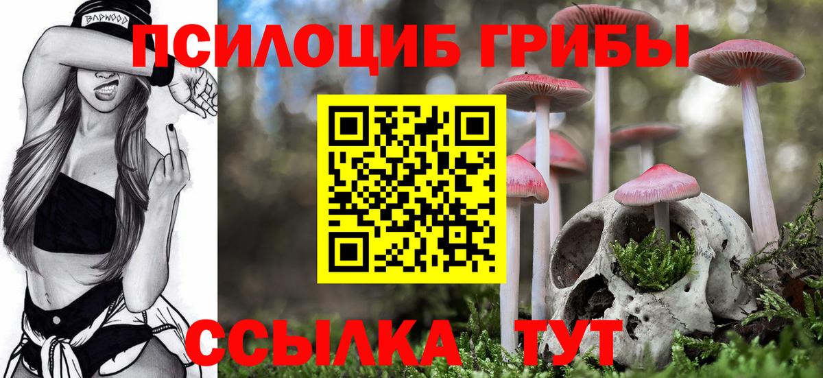 Озёры  Галлюциногенные грибы MAGIC MUSHROOMS  Вход с VPN  Галлюциногенные грибы прущие грибы 